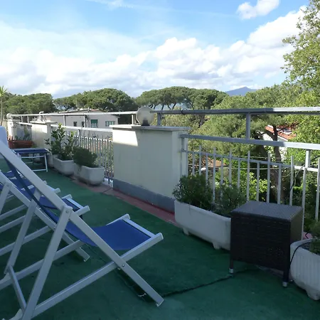 Hotel Daisy