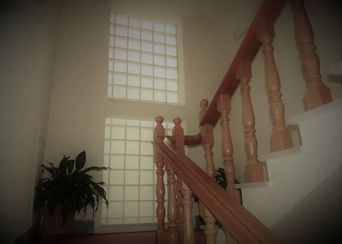 Daisy 3* Marina di Massa