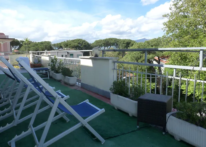 Hotel Daisy