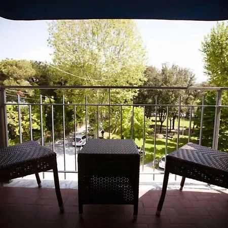 Hotel Daisy 3*