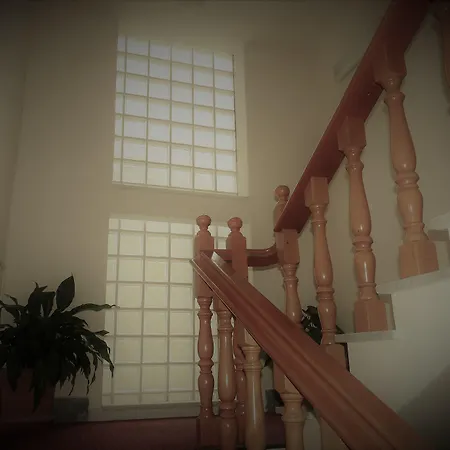 Daisy 3* Marina di Massa