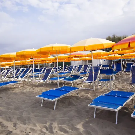 Daisy Hotel Marina di Massa