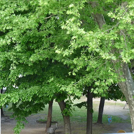 Daisy 3* Marina di Massa