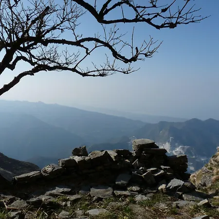 Daisy Hotel Marina di Massa